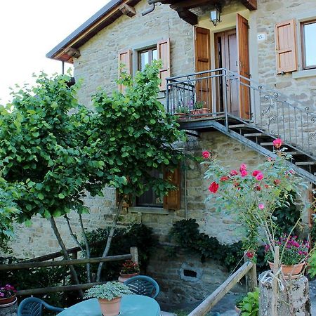 Agriturismo Casa Pallino Apartment Pratovecchio Ngoại thất bức ảnh