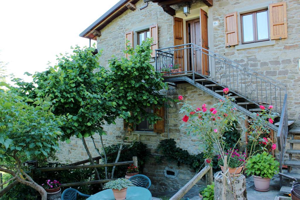 Agriturismo Casa Pallino Apartment Pratovecchio Ngoại thất bức ảnh